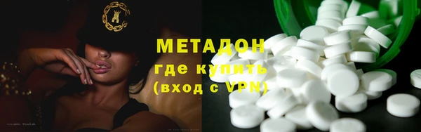 прущие грибы Новозыбков