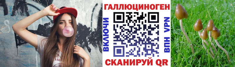 Галлюциногенные грибы MAGIC MUSHROOMS  hydra ссылка  Нестеровская 